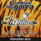 Los Tigrillos: Cumbias con Garra Vol. IV *