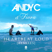 Andy C: Heartbeat Loud (Remixes)