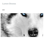 Ira Furore by Lumen Drones