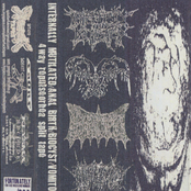 4 Way Repulseorhea Split Tape