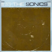 !!!Here Ain't The Sonics!!!