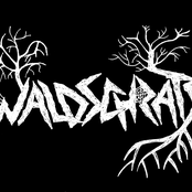 waldschrats