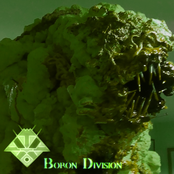 boron division