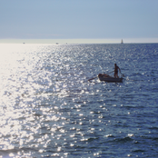 Whale Foundation Project