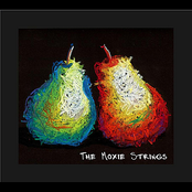 The Moxie Strings: The Moxie Strings