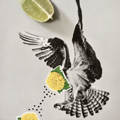 Live at Mystery Train 10/1/21