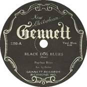Black Dog Blues