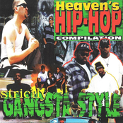 Strictly Gangsta Style