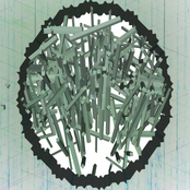 Un PIOU PIOU parmi tant d'autres