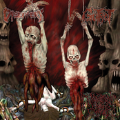 Excruciatingly Euphoric Torment