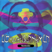 Flaming Red by Echo & The Bunnymen