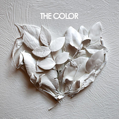 The Color