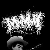 MUTILATED BEYOND RECOGNITION