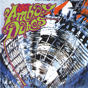 Amboy Dukes