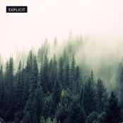 A Nascent Shrivelite