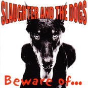 Car Thief by Slaughter And The Dogs