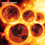 Shadow Boxed by Procol Harum