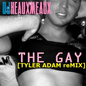 The Gay [Tyler Adam reMIX]