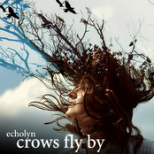 Crows Fly By
