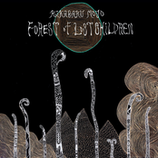 Kikagaku Moyo: Forest of Lost Children