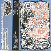 Sounds Like Shit - An International Grindcore Compilation Vol. 1