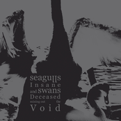 V by Seagulls Insane And Swans Deceased Mining Out The Void