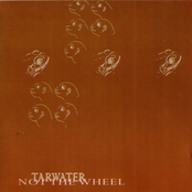 Not The Wheel by Tarwater