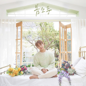 Spring Picnic - Single