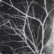 Omvänd Kronologisk Oordning (12-15)