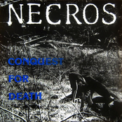 No One by Necros