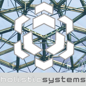 holistic systems