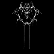 Weald of Introspection