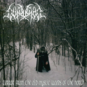 Terror from the Old Mystic Woods of the North