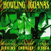 Psycho Train by Howling Iguanas