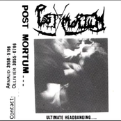 Ultimate Headbanging