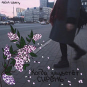 Когда зацветёт сирень