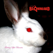 Fucking Like Bunnies