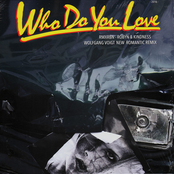 Who Do You Love (Wolfgang Voigt New Romantic Remix) / Electric (Mad Professor High Voltage Dub)