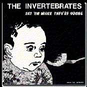 The Invertebrates