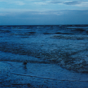 The Light Has Gone Out of My Life