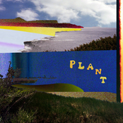 How about there was a dog named fickly who was so fickly he pooped fickles