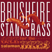 Brushfire Stankgrass: One For the Salamanders