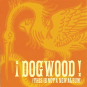 This Is Not A New Album