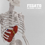FEGATO