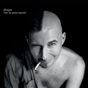 nikt nie słucha tekstów