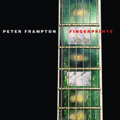 Shewango Way by Peter Frampton