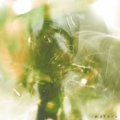 me la he pasado casi todo el día llorando