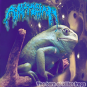 The Born Of Killer Frogs
