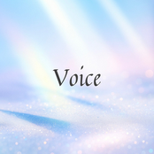 Voice