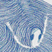 Monster (Semi-Safe Haven)